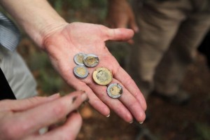 Mexican peso coins