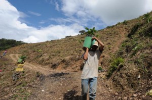 Coffee farmer in Venezuela