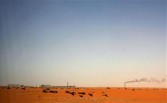 A trail of smoke extends in the wind from the flame of the Saudi Aramco (the national oil company) oil installation known as 'Pump 3' in the Saudi Arabian desert near the oil-rich area Al-Khurais