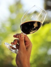 wine glass