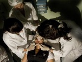Brazilian Society for Aesthetic Medicine