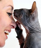 CAT APPEAL