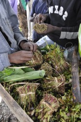 Africa Trade