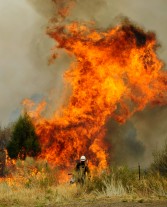 Turkey GDP, Economy on fire