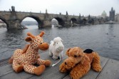 Prague tourist rush