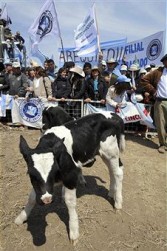 Argentinian farmers protest against export tax