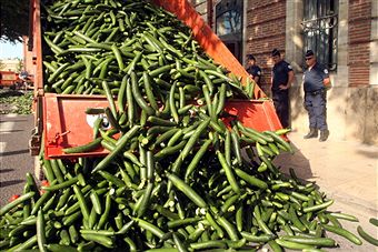 Cucumbers were thought to carry the bacteria