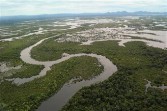 Wetlands, Kalimantan, Indonesia