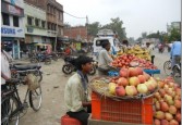 A colourful fruit market, UP 2011 - Citigroup
