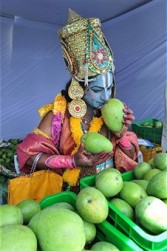 India mango