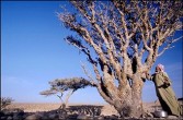Oman