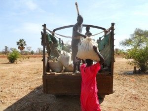 A Dinka woman collecting food for her family