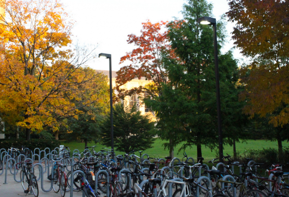 Kellogg during Fall