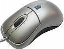 mouse.jpg