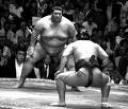 sumo-wrestlers.jpg