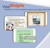 Widgets