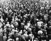 Crowds