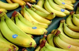 Bananas, a good source of energy... Photo: Andy Butterton/Press Association