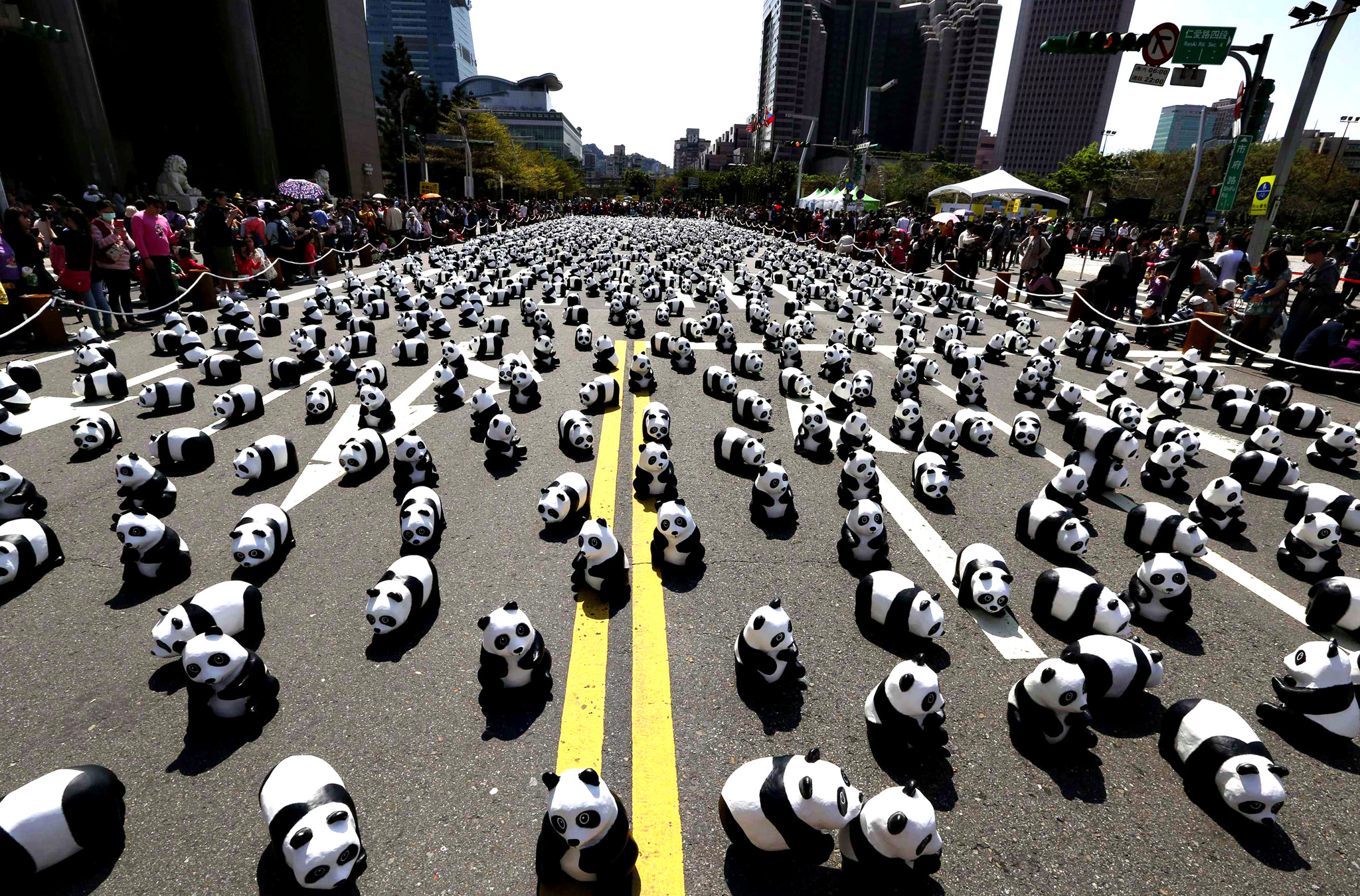 panda invadono le città